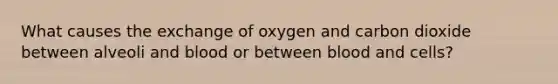 What causes the exchange of oxygen and carbon dioxide between alveoli and blood or between blood and cells?