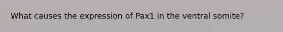 What causes the expression of Pax1 in the ventral somite?