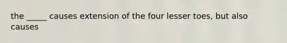 the _____ causes extension of the four lesser toes, but also causes