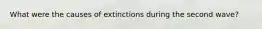 What were the causes of extinctions during the second wave?