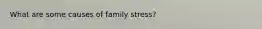 What are some causes of family stress?