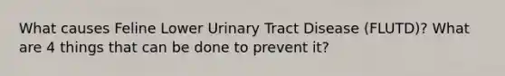 What causes Feline Lower Urinary Tract Disease (FLUTD)? What are 4 things that can be done to prevent it?