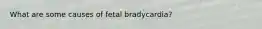 What are some causes of fetal bradycardia?