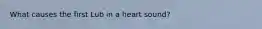 What causes the first Lub in a heart sound?