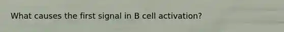 What causes the first signal in B cell activation?