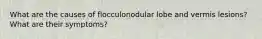 What are the causes of flocculonodular lobe and vermis lesions? What are their symptoms?