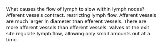 What causes the flow of lymph to slow within lymph nodes? Afferent vessels contract, restricting lymph flow. Afferent vessels are much larger in diameter than efferent vessels. There are more afferent vessels than efferent vessels. Valves at the exit site regulate lymph flow, allowing only small amounts out at a time.