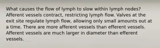 What causes the flow of lymph to slow within lymph nodes? Afferent vessels contract, restricting lymph flow. Valves at the exit site regulate lymph flow, allowing only small amounts out at a time. There are more afferent vessels than efferent vessels. Afferent vessels are much larger in diameter than efferent vessels.