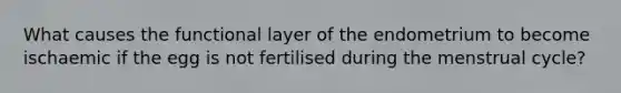 What causes the functional layer of the endometrium to become ischaemic if the egg is not fertilised during the menstrual cycle?