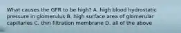 What causes the GFR to be high? A. high blood hydrostatic pressure in glomerulus B. high surface area of glomerular capillaries C. thin filtration membrane D. all of the above