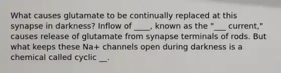 What causes glutamate to be continually replaced at this synapse in darkness? Inflow of ____, known as the "___ current," causes release of glutamate from synapse terminals of rods. But what keeps these Na+ channels open during darkness is a chemical called cyclic __.