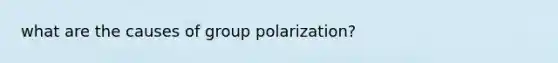 what are the causes of group polarization?