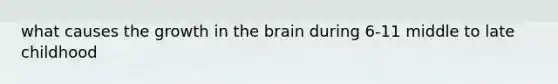 what causes the growth in the brain during 6-11 middle to late childhood