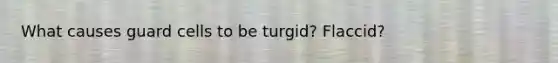 What causes guard cells to be turgid? Flaccid?