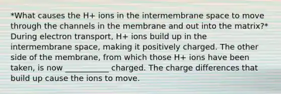 *What causes the H+ ions in the intermembrane space to move through the channels in the membrane and out into the matrix?* During electron transport, H+ ions build up in the intermembrane space, making it positively charged. The other side of the membrane, from which those H+ ions have been taken, is now ___________ charged. The charge differences that build up cause the ions to move.