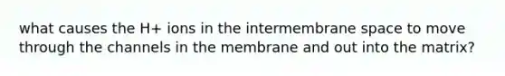 what causes the H+ ions in the intermembrane space to move through the channels in the membrane and out into the matrix?