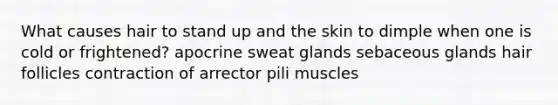 What causes hair to stand up and the skin to dimple when one is cold or frightened? apocrine sweat glands sebaceous glands hair follicles contraction of arrector pili muscles