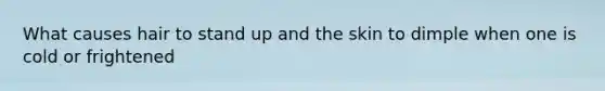 What causes hair to stand up and the skin to dimple when one is cold or frightened