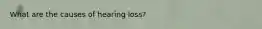 What are the causes of hearing loss?
