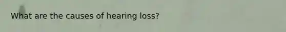 What are the causes of hearing loss?