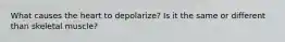 What causes the heart to depolarize? Is it the same or different than skeletal muscle?