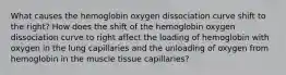 What causes the hemoglobin oxygen dissociation curve shift to the right? How does the shift of the hemoglobin oxygen dissociation curve to right affect the loading of hemoglobin with oxygen in the lung capillaries and the unloading of oxygen from hemoglobin in the muscle tissue capillaries?