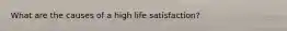 What are the causes of a high life satisfaction?