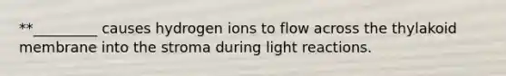 **_________ causes hydrogen ions to flow across the thylakoid membrane into the stroma during light reactions.