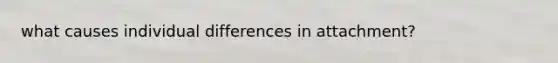 what causes individual differences in attachment?