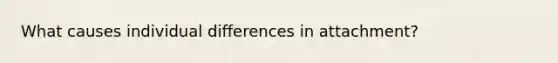 What causes individual differences in attachment?