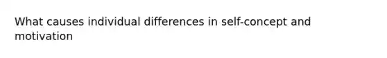 What causes individual differences in self-concept and motivation