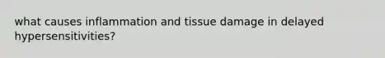 what causes inflammation and tissue damage in delayed hypersensitivities?