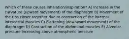 Which of these causes inhalation/inspiration? A) Increase in the curvature (upward movement) of the diaphragm B) Movement of the ribs closer together due to contraction of the internal intercostal muscles C) Flattening (downward movement) of the diaphragm D) Contraction of the abdominal muscles E) Alveolar pressure increasing above atmospheric pressure