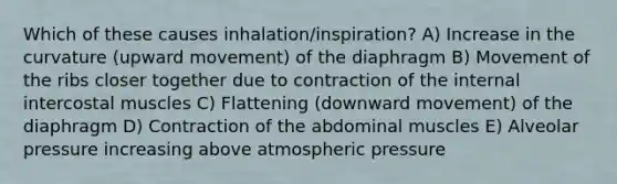 Which of these causes inhalation/inspiration? A) Increase in the curvature (upward movement) of the diaphragm B) Movement of the ribs closer together due to contraction of the internal intercostal muscles C) Flattening (downward movement) of the diaphragm D) Contraction of the abdominal muscles E) Alveolar pressure increasing above atmospheric pressure