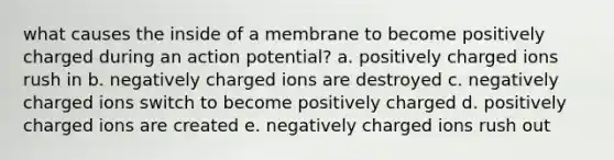 what causes the inside of a membrane to become positively charged during an action potential? a. positively charged ions rush in b. negatively charged ions are destroyed c. negatively charged ions switch to become positively charged d. positively charged ions are created e. negatively charged ions rush out