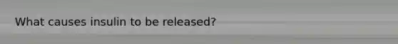 What causes insulin to be released?