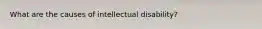 What are the causes of intellectual disability?