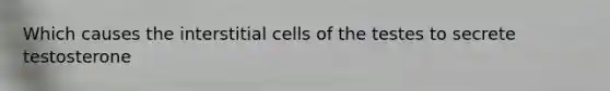 Which causes the interstitial cells of the testes to secrete testosterone