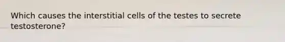 Which causes the interstitial cells of the testes to secrete testosterone?