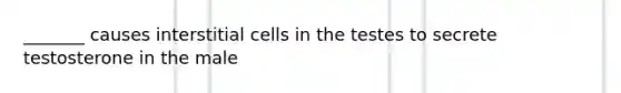 _______ causes interstitial cells in the testes to secrete testosterone in the male