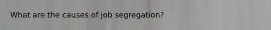 What are the causes of job segregation?