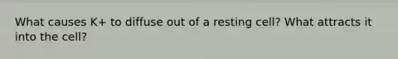 What causes K+ to diffuse out of a resting cell? What attracts it into the cell?