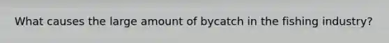 What causes the large amount of bycatch in the fishing industry?