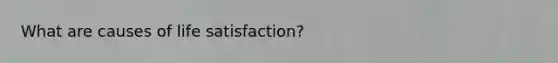 What are causes of life satisfaction?