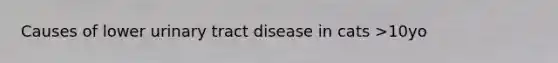 Causes of lower urinary tract disease in cats >10yo