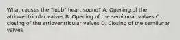 What causes the "lubb" heart sound? A. Opening of the atrioventricular valves B. Opening of the semilunar valves C. closing of the atrioventricular valves D. Closing of the semilunar valves