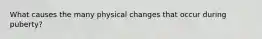 What causes the many physical changes that occur during puberty?