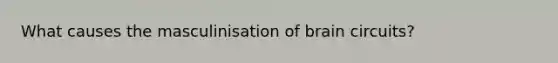 What causes the masculinisation of brain circuits?