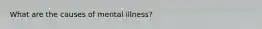 What are the causes of mental illness?