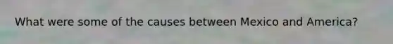 What were some of the causes between Mexico and America?